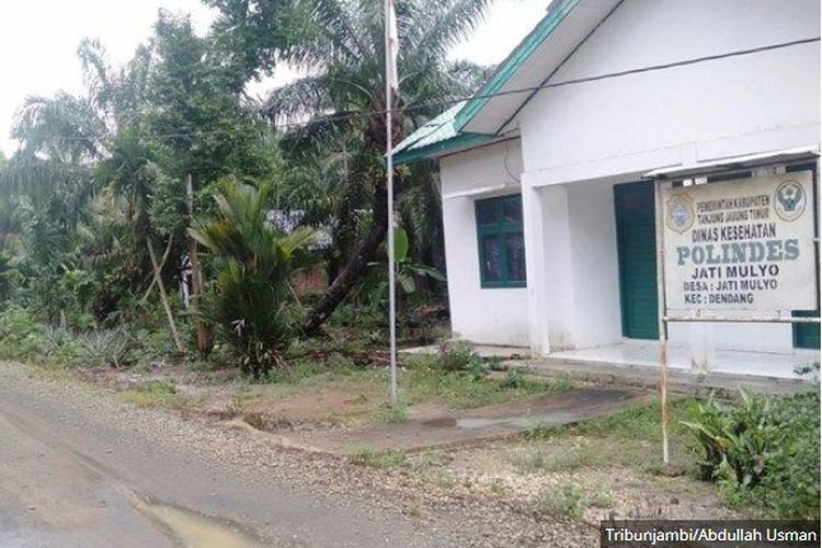 Pondok bersalin Desa Jatimulyo, Dinas Kesehatan 