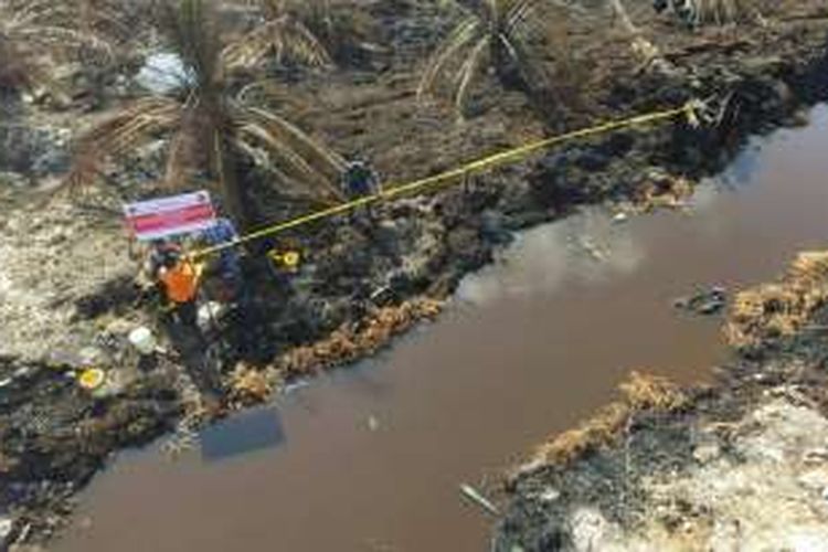 Polisi hutan dan penyidik dari Badan Hukum Kementerian Lingkungan Hidup dan Kehutanan tengah menyegel lahan kelapa sawit milik PT ASPL di Rokan Hulu, Riau sebelum penyanderaan terjadi pada 2 September 2016.