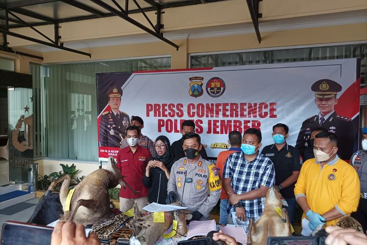  Polres Jember menangkap pengrajin dari bahan satwa liar yang dilindungi pada Senin (23/5/22).