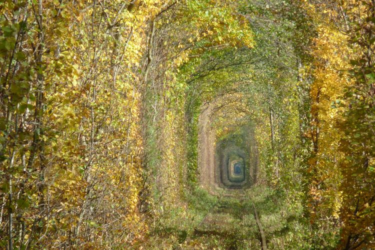 Terowongan Cinta adalah jalur kereta api setengah terbengkalai di Klaven, Ukraina Barat Laut.