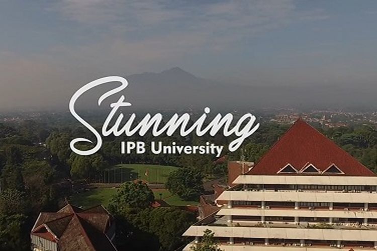 IPB University