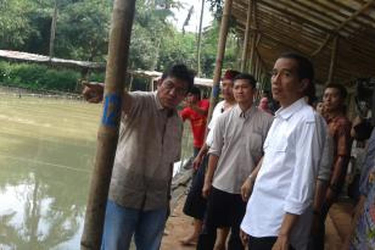 Gubernur DKI Jakarta Joko Widodo saat mengunjungi Hutan Kota Pesanggrahan, Jakarta Selatan, Kamis (20/2/2014)