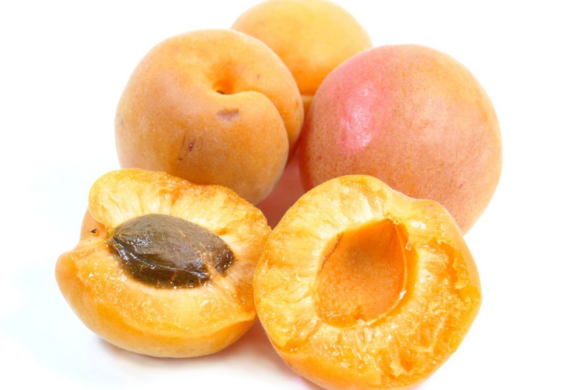 Ilustrasi aprikot