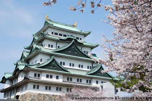 Aichi, Destinasi Terbaik di Jepang untuk Menikmati Pemandangan Sakura