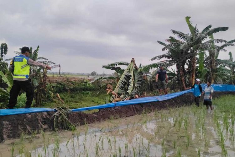 Usai Tanam Padi, Petani Lansia di Grobogan Tewas Tersambar Petir di Tengah Sawah