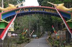 Hutan Meranti Putih, Destinasi Wisata di Kotabaru yang Rindang dan Sejuk