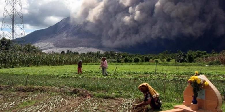 Erupsi Gunung Sinabung disertai dengan luncuran awan panas terlihat dari Desa Jeraya, Karo, Sabtu (13/6/2015) . Gunung Sinabung yang kini masih berstatus Awas masih mengalami peningkatan aktivitas.