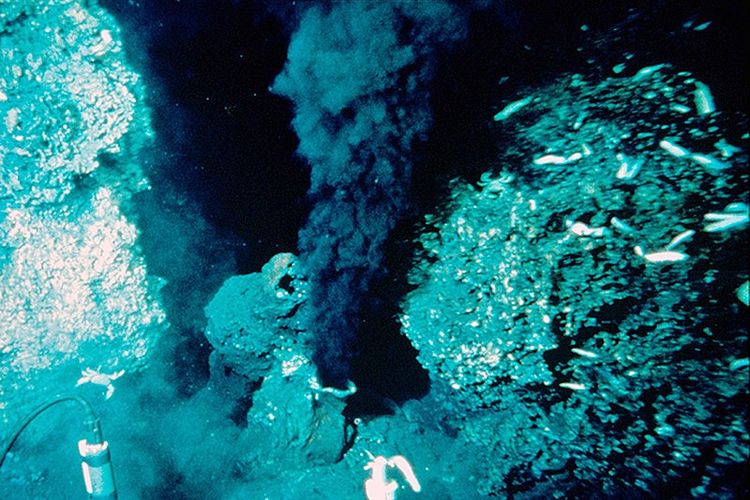 Lubang hidrotermal di laut dalam