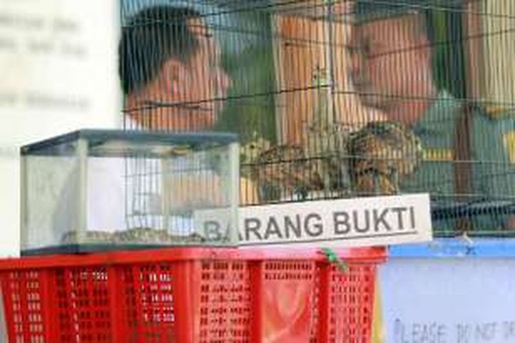 Hewan hewan langka yang dilindungi berhasil diamankan oleh BKSDA Jawa Timur disalah satu rumah dokter hewan di wilayah Kecamatan Genteng Kabupaten Banyuwangi