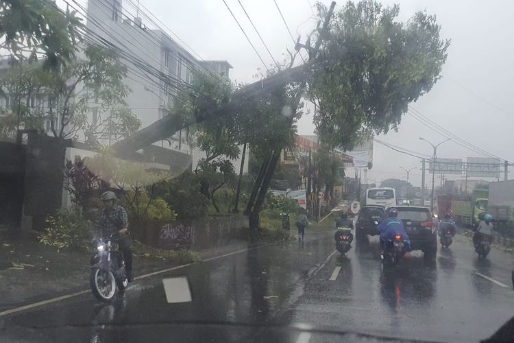 Pohon tumbang timba kabel listrik akibat hujan lebat disertai angin kencang.