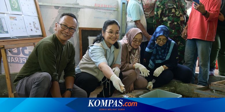Budi Daya Maggot Jabungan Hasilkan 100 Kg per Hari, Wali Kota Semarang Apresiasi Inovasi Warga