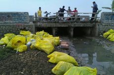 Polisi Periksa 5 Saksi Kasus Pembuangan Limbah Medis di Hutan Mangrove