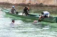 Seekor Penyu Terikat Tali di Baubau, Dikembalikan Lagi ke Laut oleh Anggota TNI-Polri