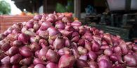 Viral Prabowo Sebut Upah Kupas Bawang Rp 700.000, Pedagang di Makassar: Saya Juga Mau