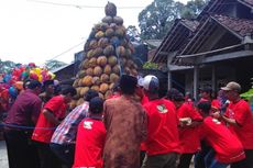 Melongok Kampung Durian di Magelang