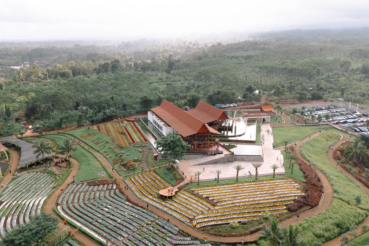 Pemandangan destinasi wisata Agrowisata Tamansuruh Banyuwangi