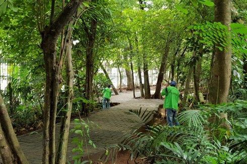 Komisi D DPRD DKI Tunda Bahas Program Bangun Hutan, Anggarannya Dinilai Terlalu Besar