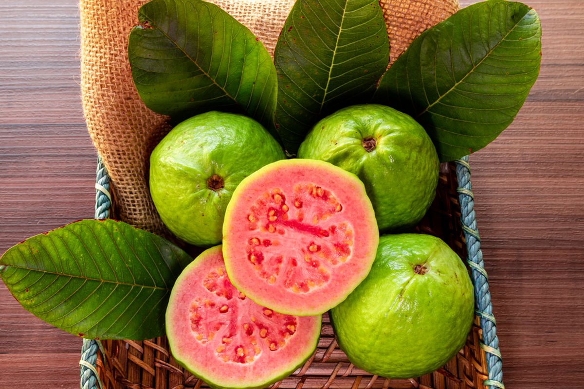 Buah jambu biji kaya vitamin C, bahkan 5 kali lebih banyak dibandingkan jeruk. Buah ini juga tinggi antioksidan yang membantu melawan penyakit kronis. Berkat kandungannya, banyak manfaat buah jambu biji untuk kesehatan. 