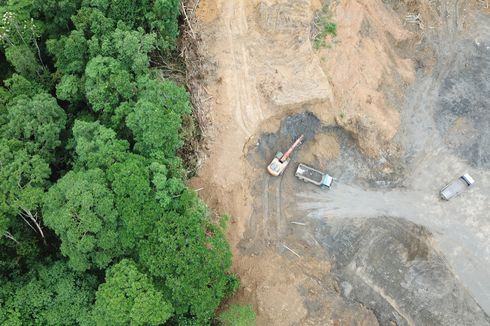 Bersama Brasil dan Kongo, Indonesia Berupaya Atasi Deforestasi