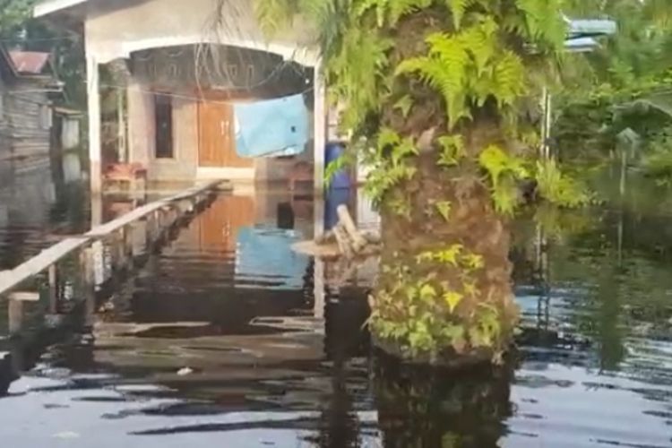 Banjir menggenangi permukiman warga Desa Bantayan Baru, Kecamatan Batu Hampar, Kabupaten Rokan Hilir, Riau, Selasa (27/12/2022).