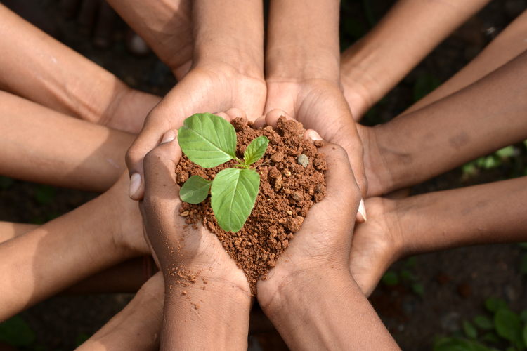 Ilustrasi lingkungan hidup 