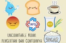 Uncountable Noun: Pengertian dan Contohnya