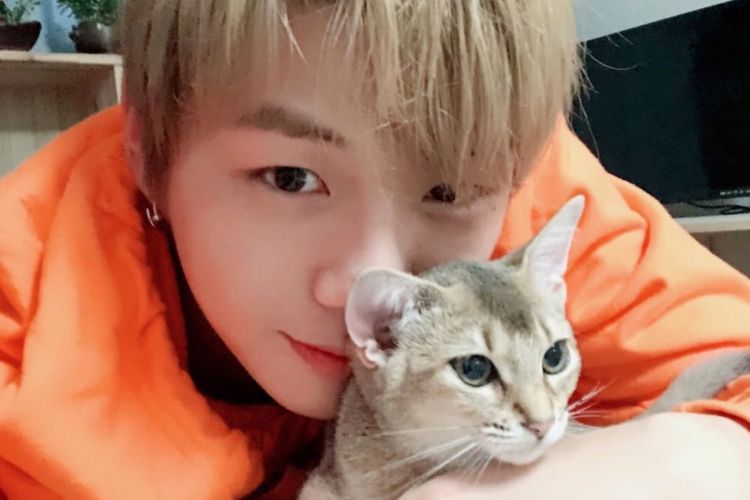 Member Wanna One Kang Daniel dan salah satu kucingnya.