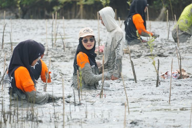 Dompet Dhuafa melalui Disaster Management Center (DMC) menanam 7.000 mangrove di pesisir Pulau Mangare, Desa Tanjung Widoro, Kecamatan Bungah, Kabupaten Gresik, Jawa Timur, pada Sabtu (21/12/2024). Langkah tersebut untuk memenuhi kembali mangrove di kawasan tambak ikan di sekitar pantai yang telah lama rusak akibat air laut yang menerjang dan menyebabkan abrasi dan banjir rob setiap tahun. 