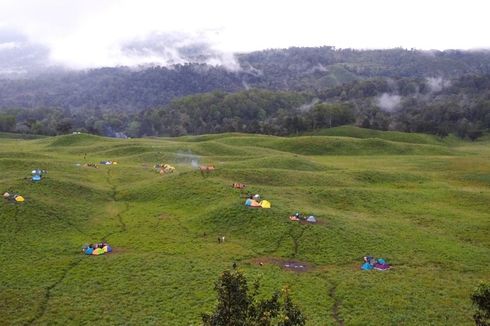 Langgar Protokol Kesehatan, Savana Propok Ditutup Mulai 6 Agustus