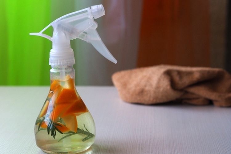 Ilustrasi pestisida nabati dari kulit jeruk