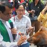 Pemberkatan Hewan di Paroki Santo Yosep Purwokerto, Dipenuhi Anjing, Kucing, dan Kadal Papua