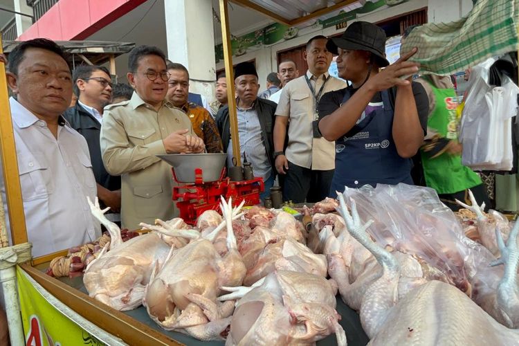 Harga Daging Ayam di Sukoharjo Tembus Rp 42.000 per Kg, Mendag Budi: Justru Bagus