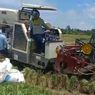 Panen di Masa Covid-19 Harus Dilakukan, Mentan Minta Petani Tetap Waspada