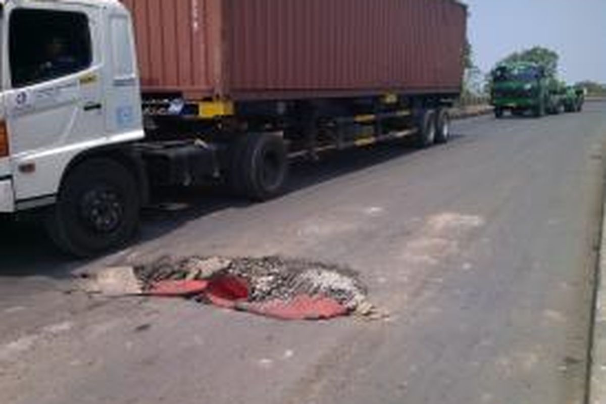 Lubang di Jembatan Jl Akses Marunda sampai terlihat kerangka jembatannya. Lubang tersebut seringkali mengakibatkan kecelakaan lalu lintas.