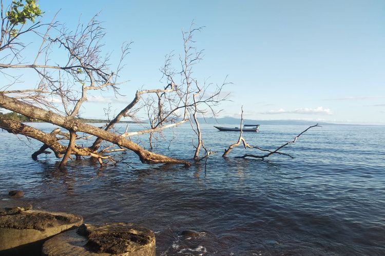 Pemandangan laut Teluk Saleh.