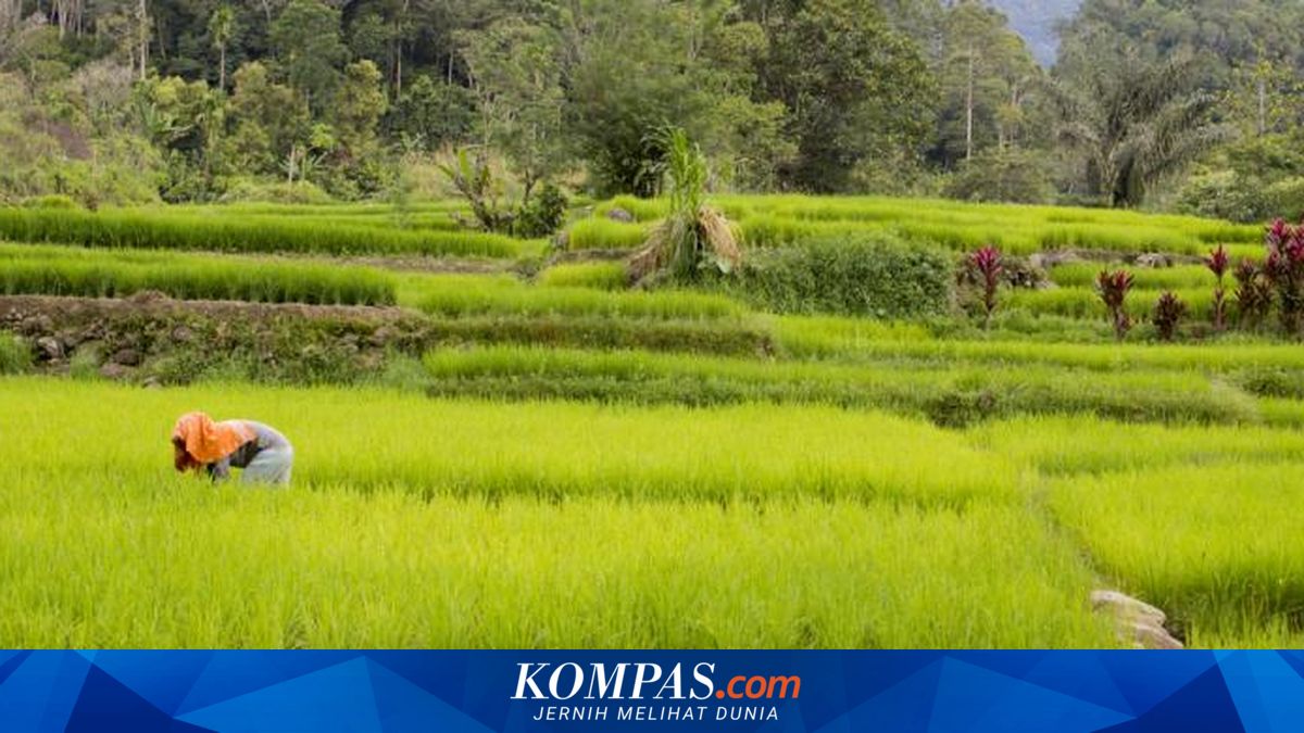 Tak Hanya Kota dan Pantai, Ini 5 Desa Wisata di Yogyakarta
