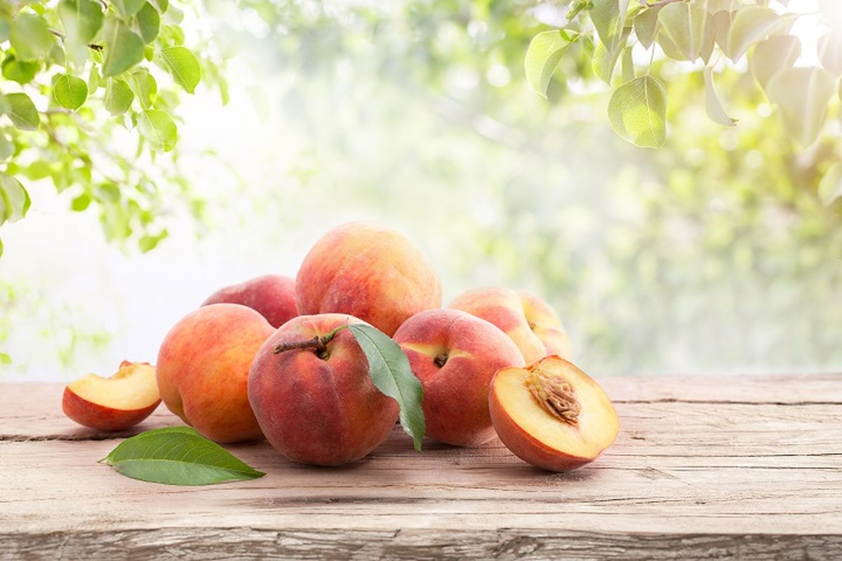 Ilustrasi buah persik.