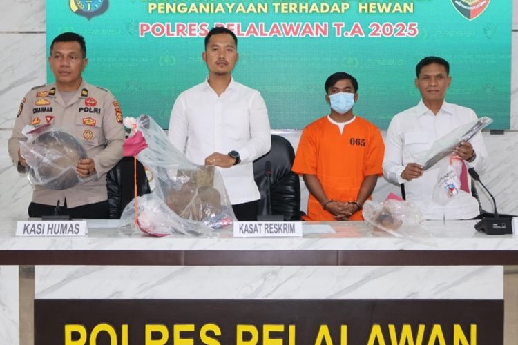 Anjing Disiksa Sebelum Dijagal, Pelaku Ditangkap Polisi di Riau