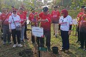 Ambisi Besar Otorita IKN, Kembalikan Alam Borneo Lewat 5 Juta Pohon