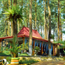 5 Wisata Dekat Sirah Pemali Brebes, Ada yang Mirip Selandia Baru 
