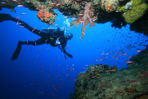 Festival Tanjung Waka 2021 di Kepulauan Sula Bakal Digelar pada 18 Desember