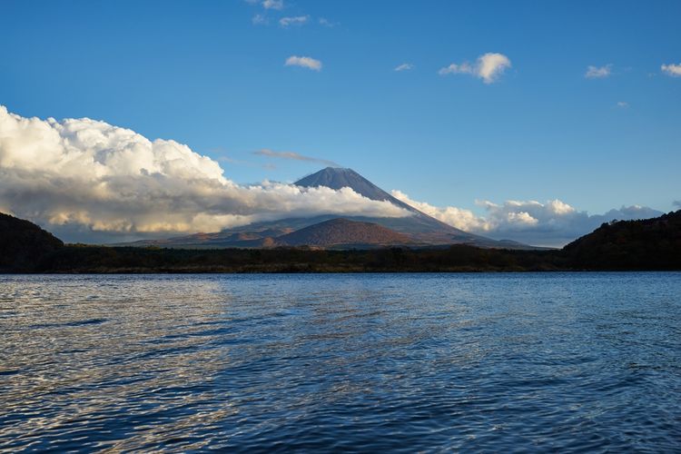 Gunung Fuji dilihat dari Danau Shoujiko, ditambah pemandangan musim gugur di Prefektur Yamanashi, Jepang.