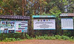 Ketika Industri Nikel Berdamai dengan Alam, Kisah Keberlanjutan Vale