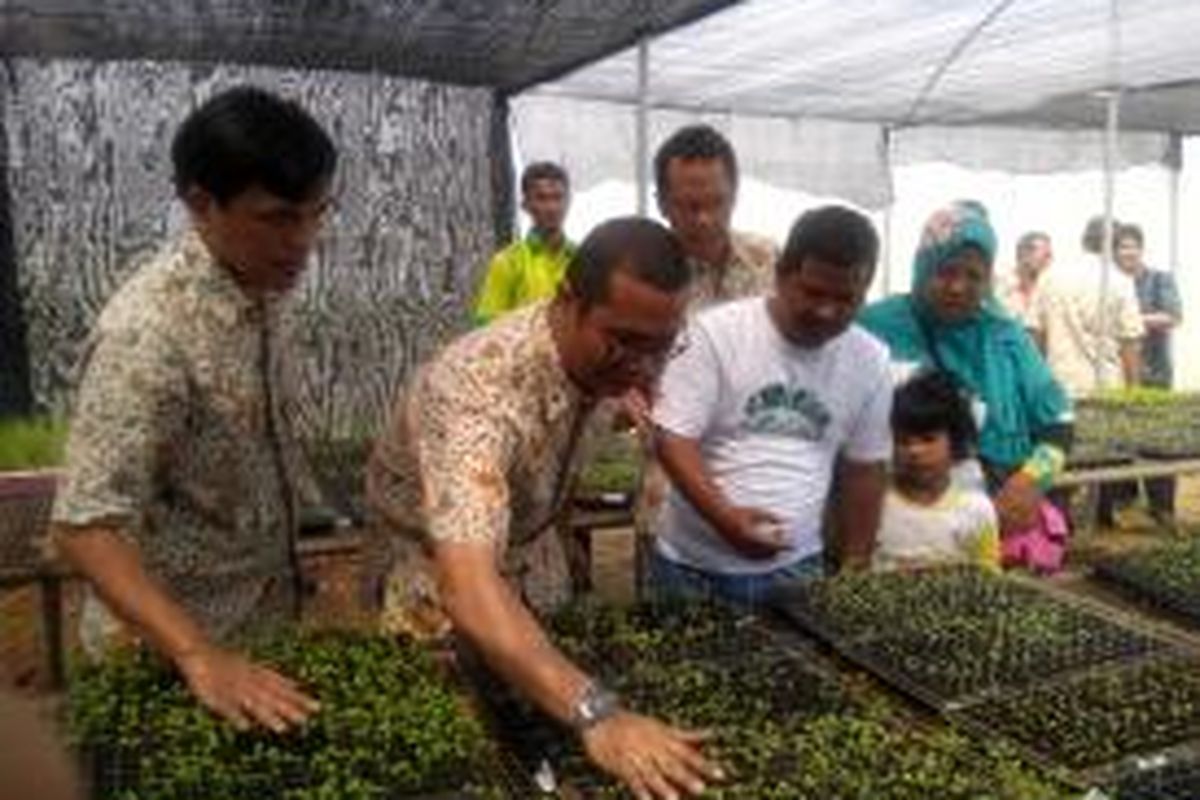 Rumah pembibitan Kelompok Tani Marunda Hijau