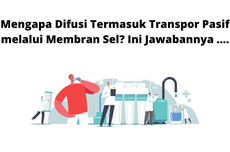 Mengapa Difusi Termasuk Transpor Pasif melalui Membran Sel? Ini Jawabannya ....