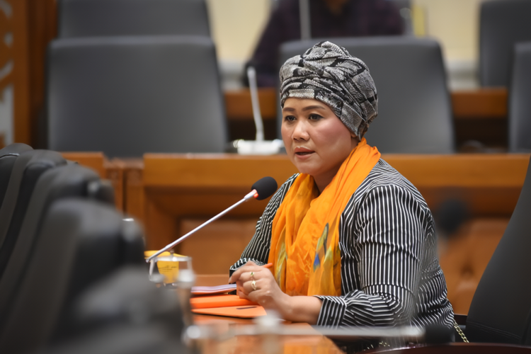 Anggota Komisi VI DPR RI Luluk Nur Hamidah. 
