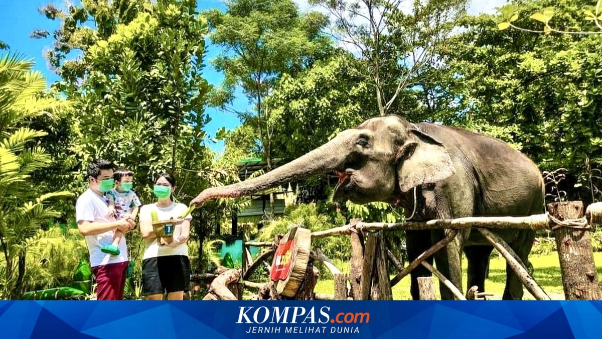 Rayakan Hari Pendidikan Nasional dengan mengajak anak ke wisata edukasi di Yogyakarta. Mulai dari museum interaktif hingga kebun binatang.