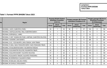 Alokasi formasi PPPK BKKBN 2023