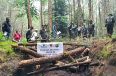 Jalur "Offroad" Kawasan Hutan Bandung Utara Resmi Ditutup, Imbas Kerusakan Ranca Upas