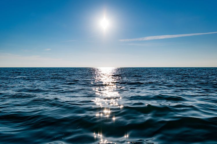Akibat Peningkatan Suhu Air Laut bagi Kehidupan Organisme Laut